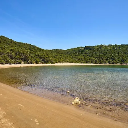 Amazing In With Wifi Apartment Saplunara